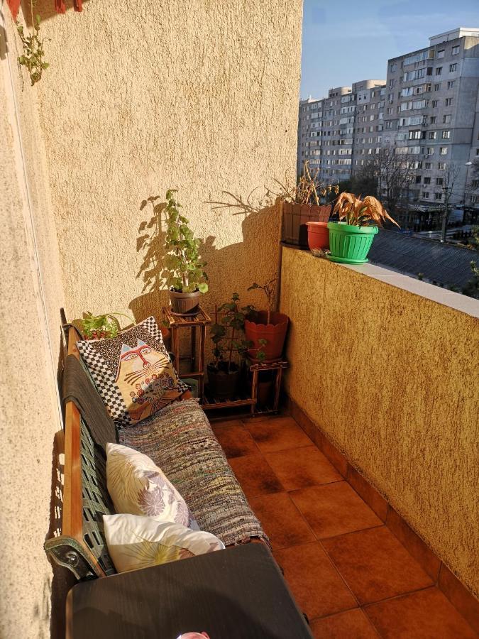 콘스탄차 Apartament Anca 아파트 외부 사진