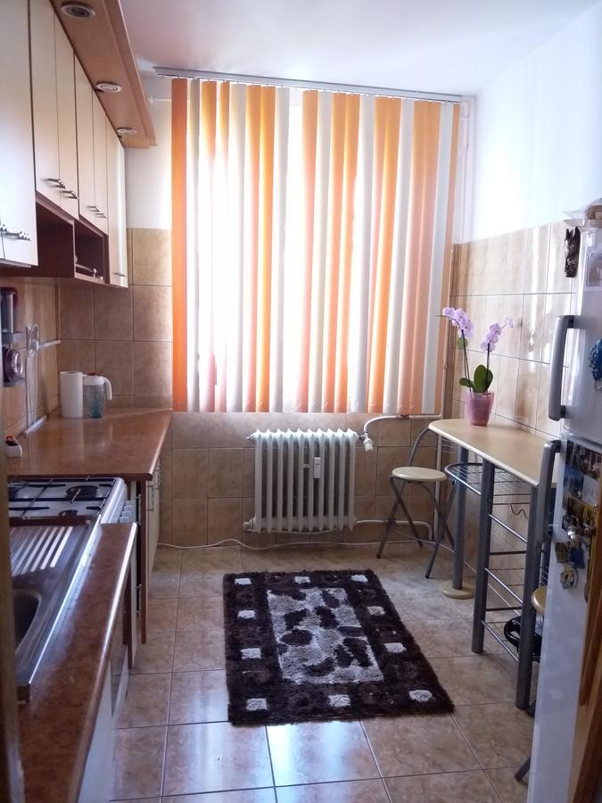 콘스탄차 Apartament Anca 아파트 외부 사진
